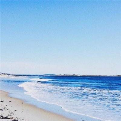 熊猫娱乐appapp下载